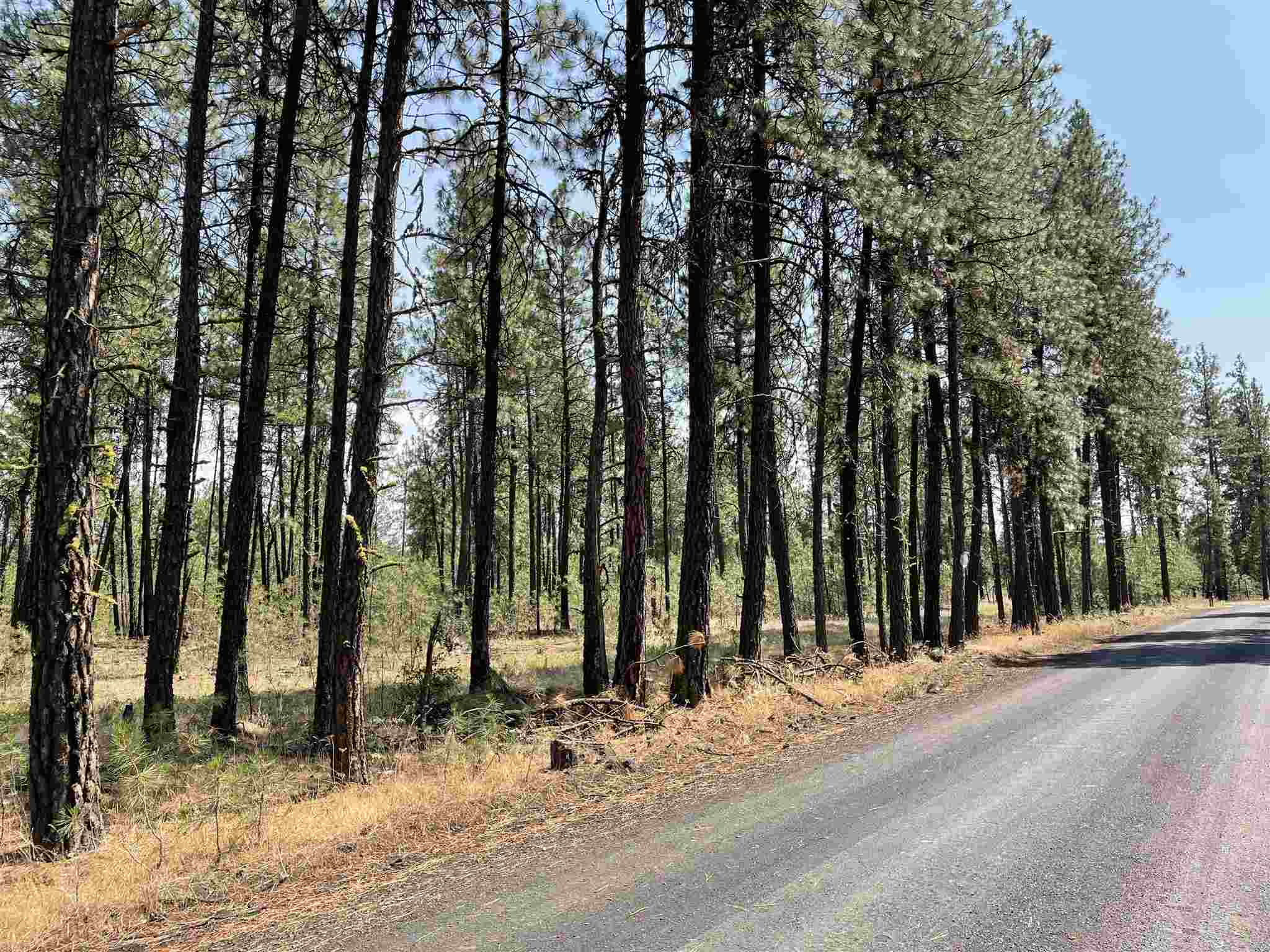 168-xx South Sherman Road Cheney, WA 99004 - Photo 1 of 4