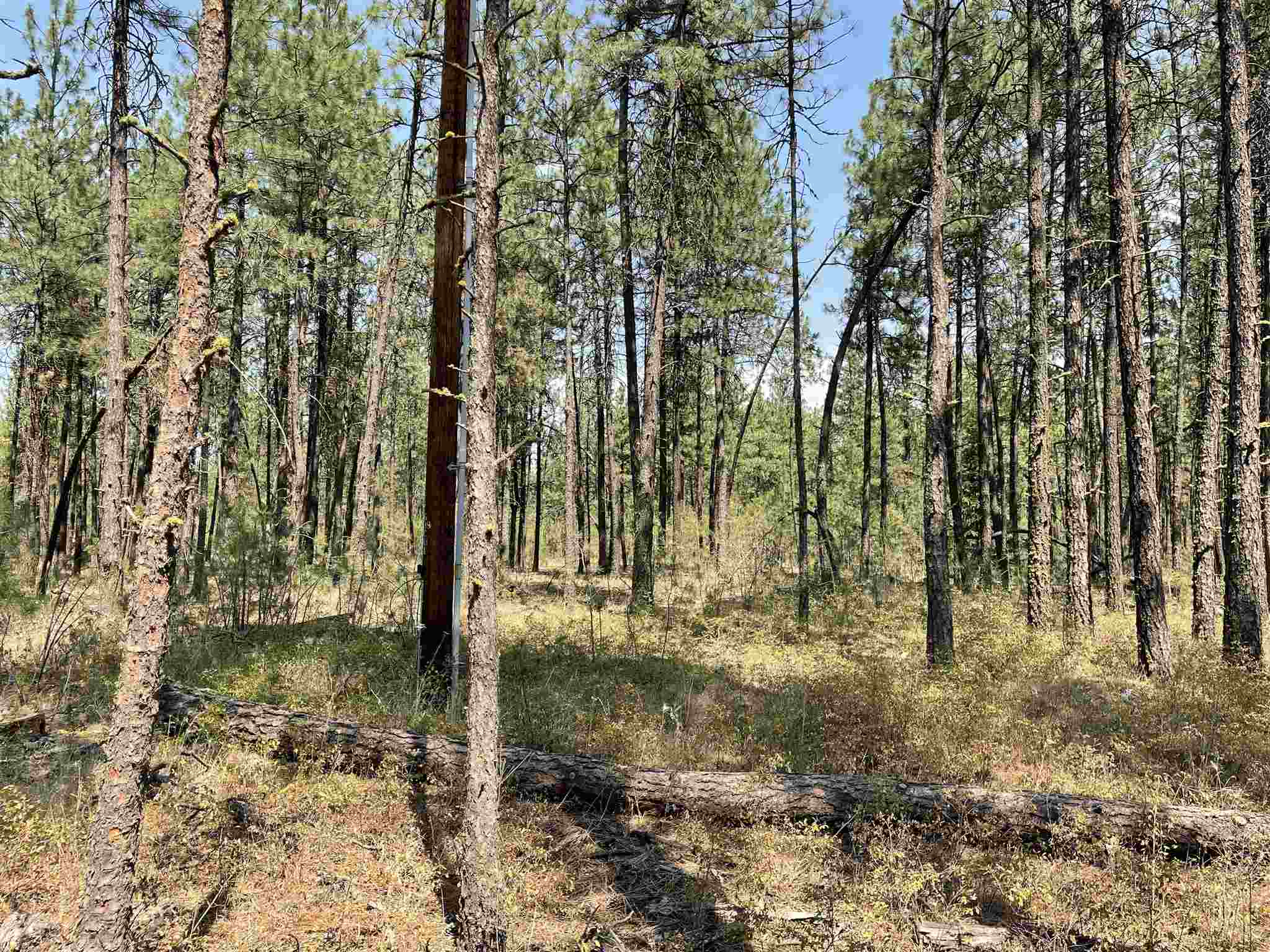 168-xx South Sherman Road Cheney, WA 99004 - Photo 2 of 4
