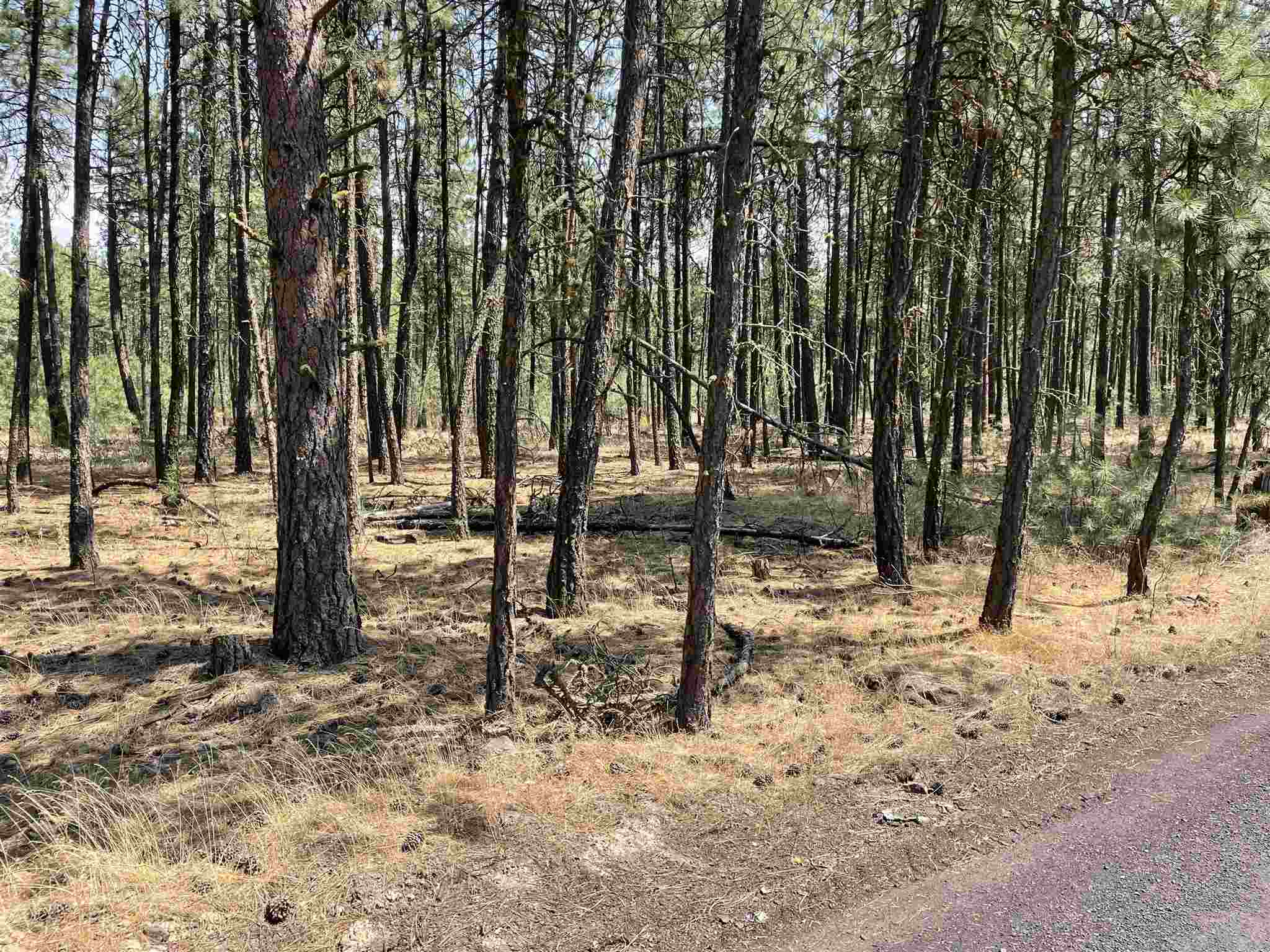168-xx South Sherman Road Cheney, WA 99004 - Photo 3 of 4