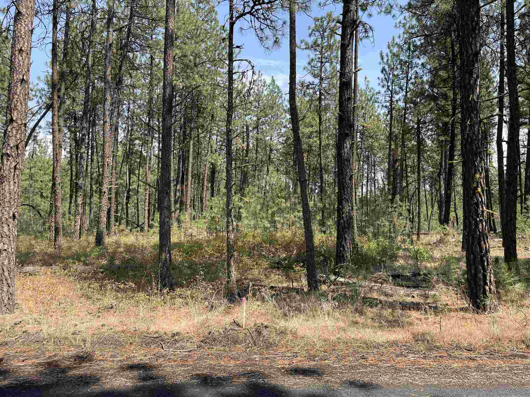 168-xx South Sherman Road Cheney, WA 99004 - Photo 4 of 4