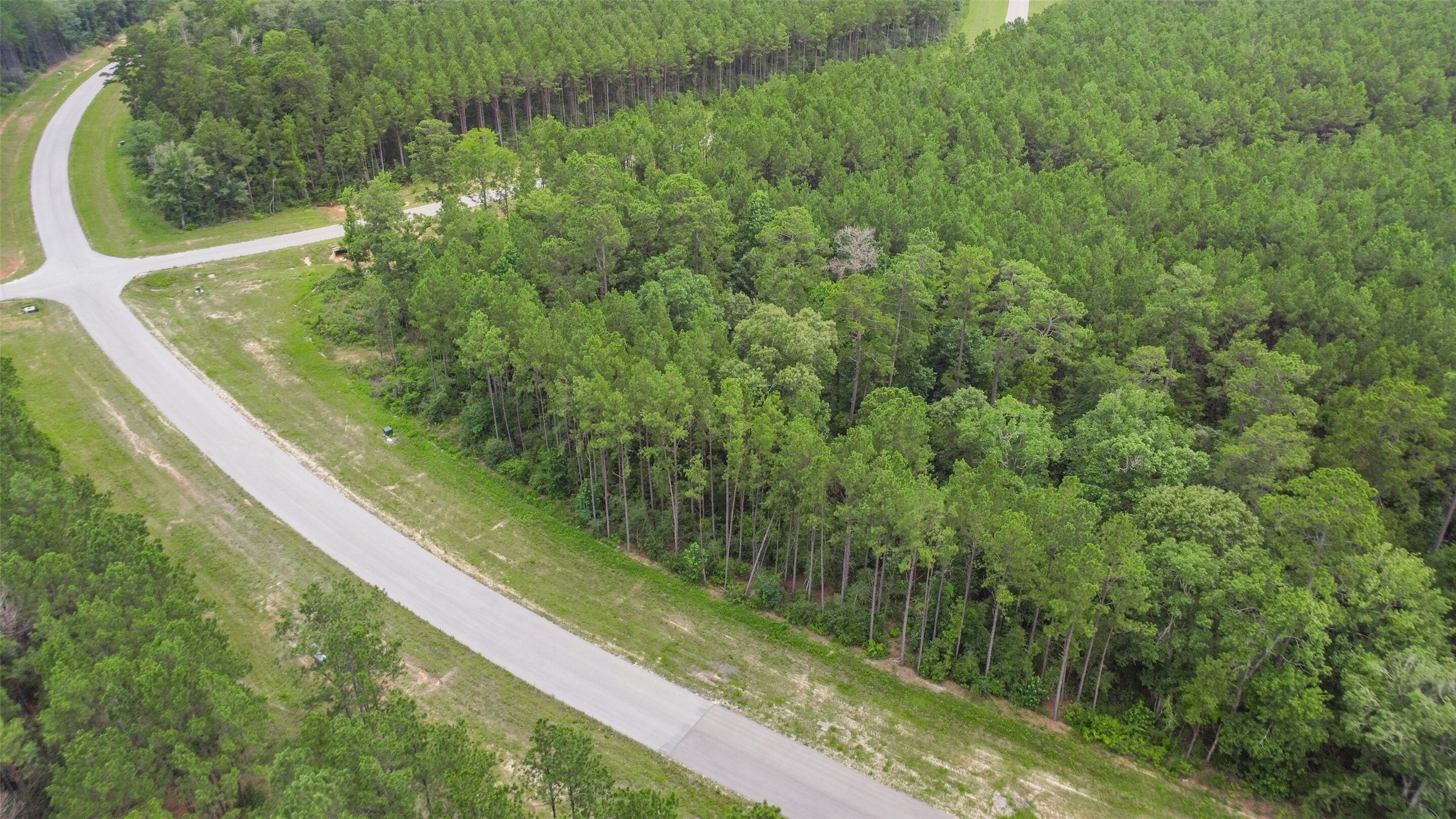 15832 Ridge Oak Road Willis, TX 77378 - Photo 2 of 14