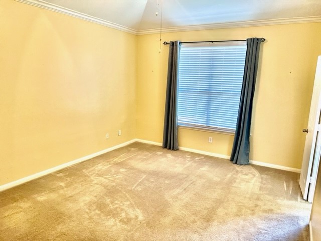 25114 Diamond Ranch Drive Katy, TX 77494 - Photo 19 of 23