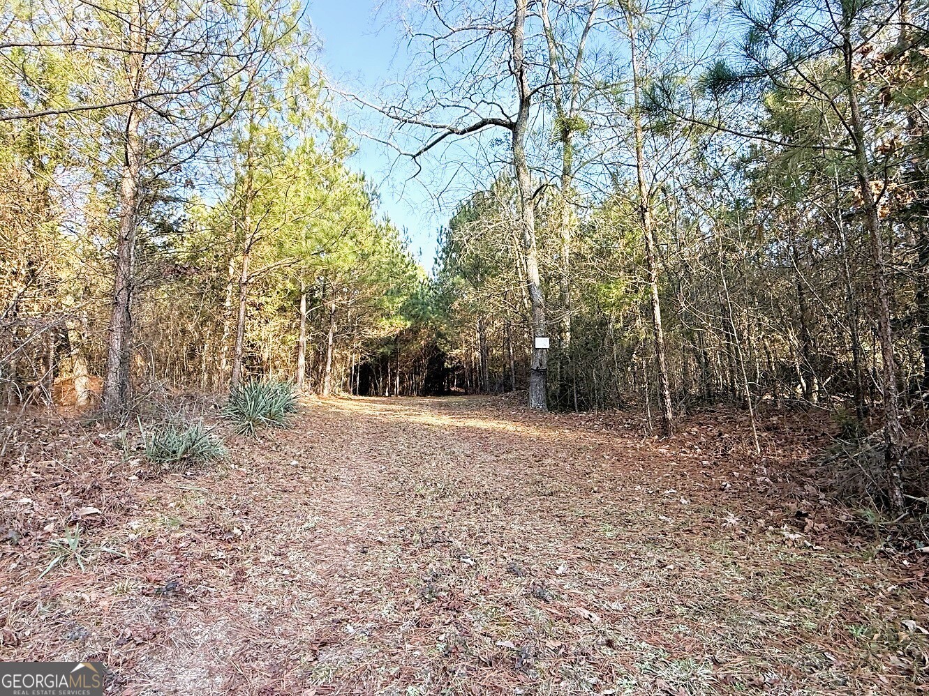 0 Stinchcomb Road Elberton, GA 30635 - Photo 3 of 16