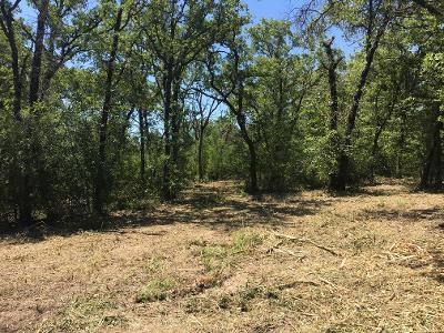 Lot 3 North County Line Road Elgin, TX 78621 - Photo 1 of 1 a view of a yard with a tree