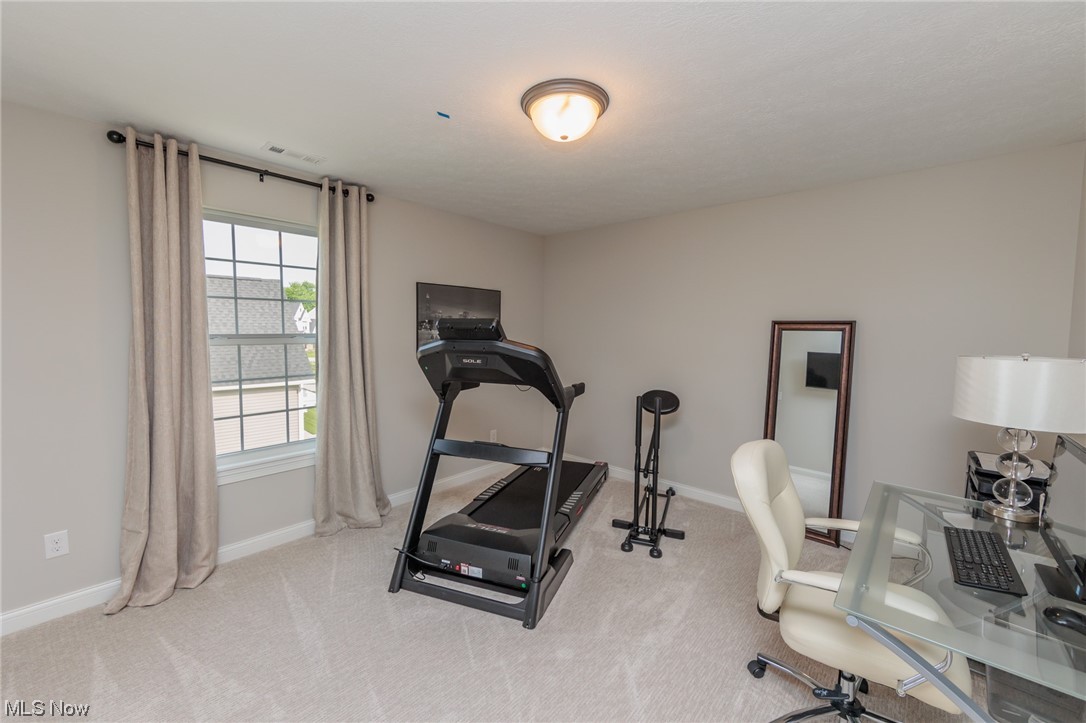 36747 Amalfi Road North Ridgeville, OH 44039 - Photo 31 of 35 Gallery Image 31