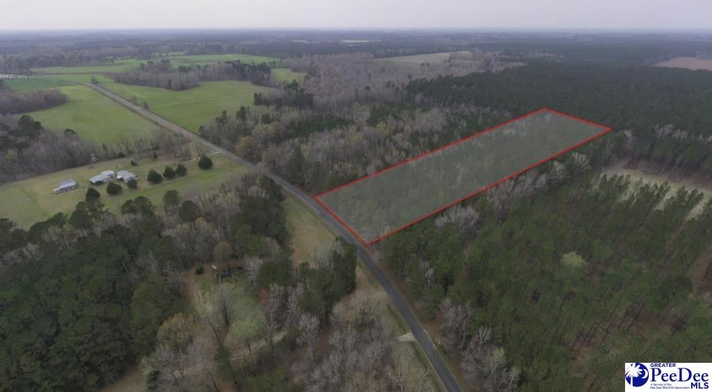 0 Spamm Road Salters, SC 29590 - Photo 1 of 6 Gallery Image 1