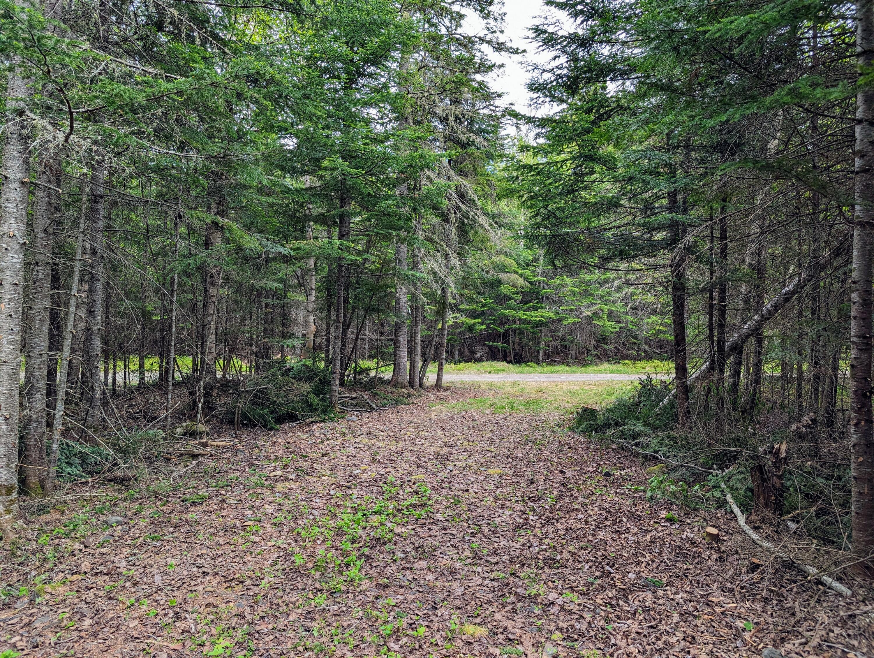 Lot 27-12 Winter Road Rangeley, ME 04970 - Photo 31 of 33 2.6 Acres on Winter Road in Rangeley!