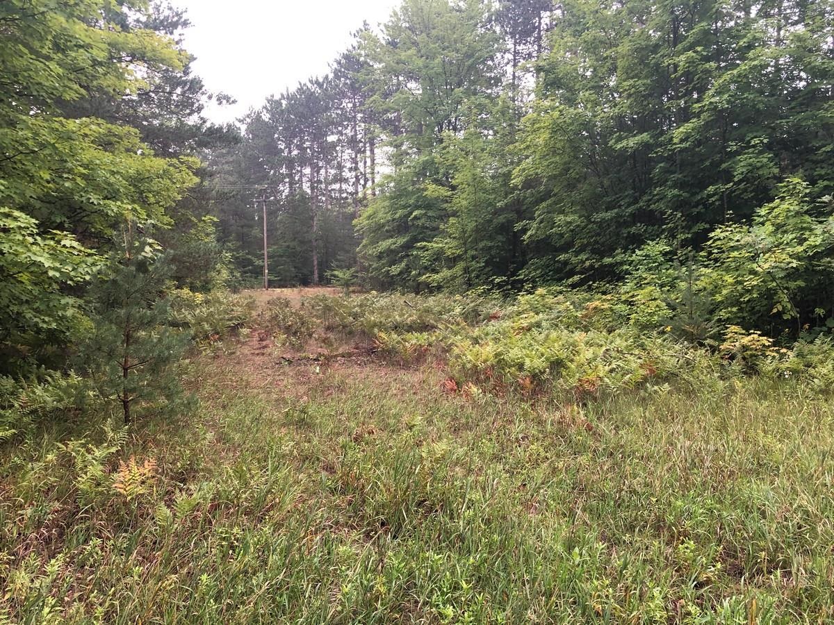 Vl South Weldon Road Beulah, MI 49617 - Photo 6 of 6