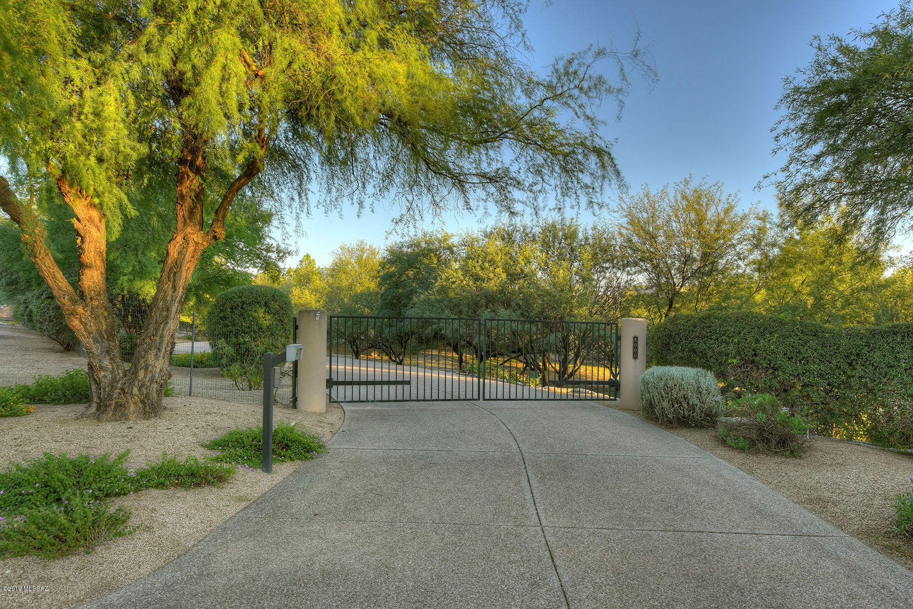 8000 East Alvin Road Tucson, AZ 85750 - Photo 40 of 45