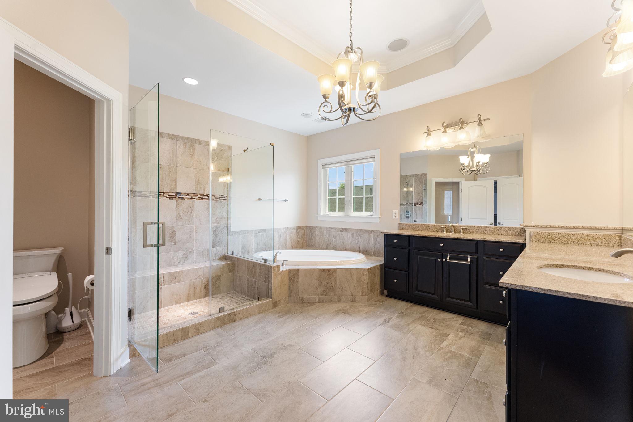 42524 Rowderbury Square Chantilly, VA 20152 - Photo 11 of 73 Primary bathroom