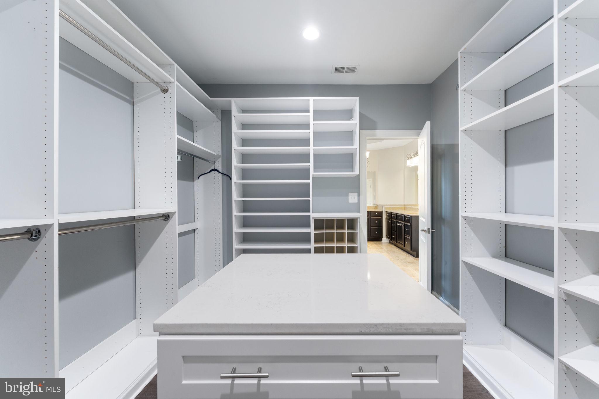 42524 Rowderbury Square Chantilly, VA 20152 - Photo 10 of 73 Primary Walk-in closet 1.1