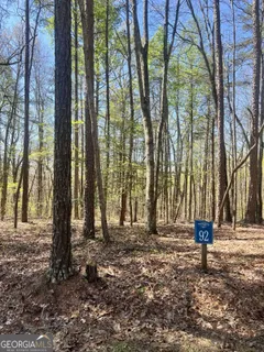 $45,000 | Lot 92 Doll Mountain Road, Ellijay, GA 30540