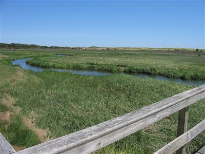 Undisclosed Address Orleans, MA 02653 - Photo 19 of 20 Additional Photo