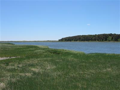 Undisclosed Address Orleans, MA 02653 - Photo 20 of 20 Additional Photo