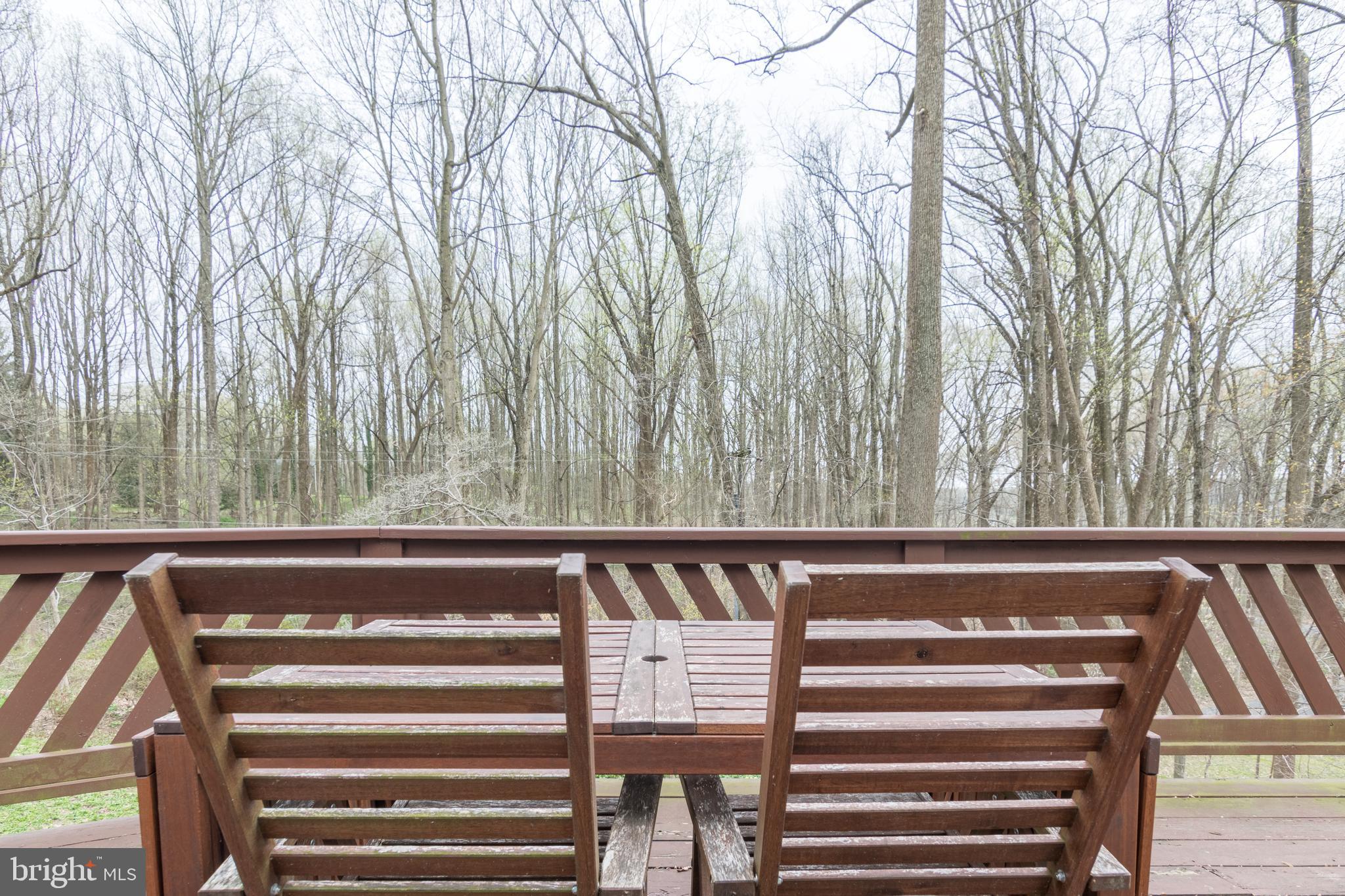 13010 Bottom Road Hydes, MD 21082 - Photo 41 of 43