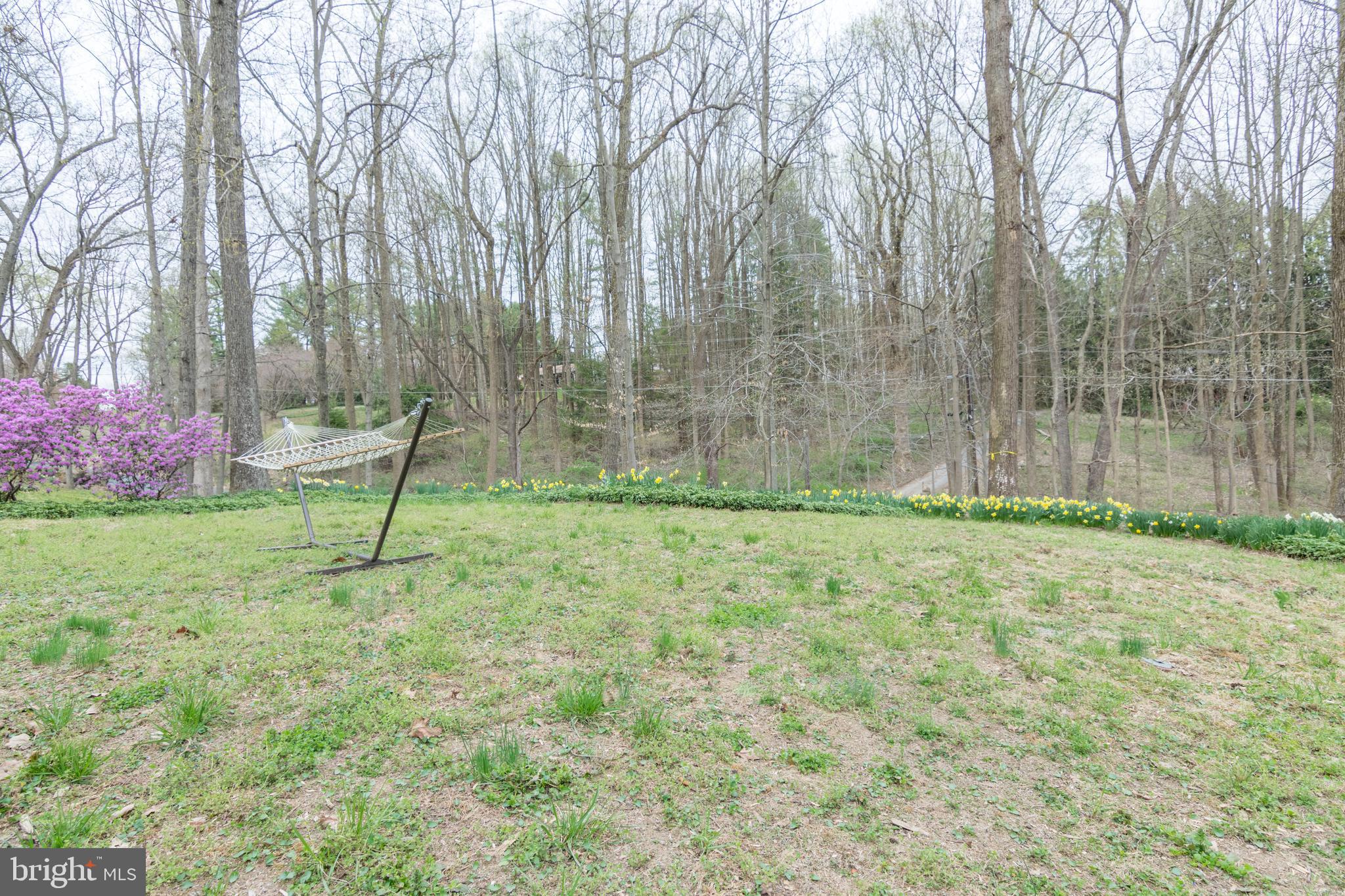 13010 Bottom Road Hydes, MD 21082 - Photo 43 of 43
