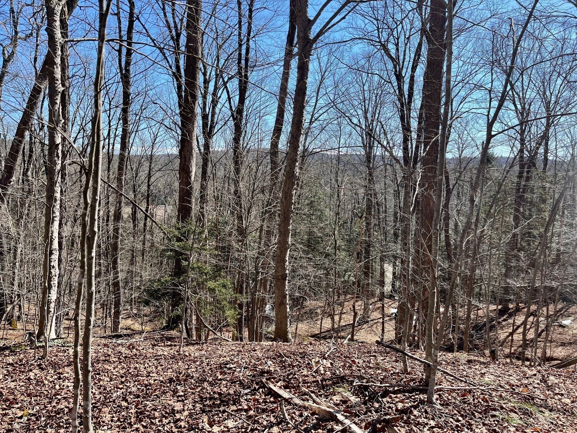 0 Parish Road Worthington, MA 01098 - Photo 4 of 14 Gallery Image 4