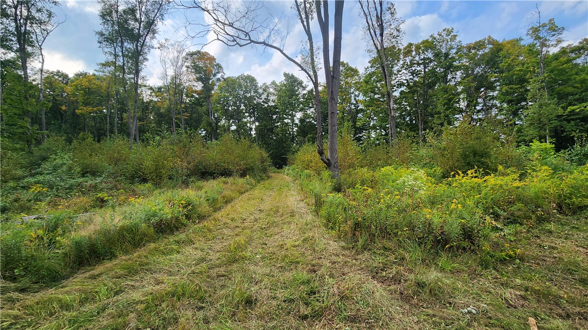 Humphrey Road Great Valley, NY 14741 - Photo 26 of 45 Habitat Mgmt Area