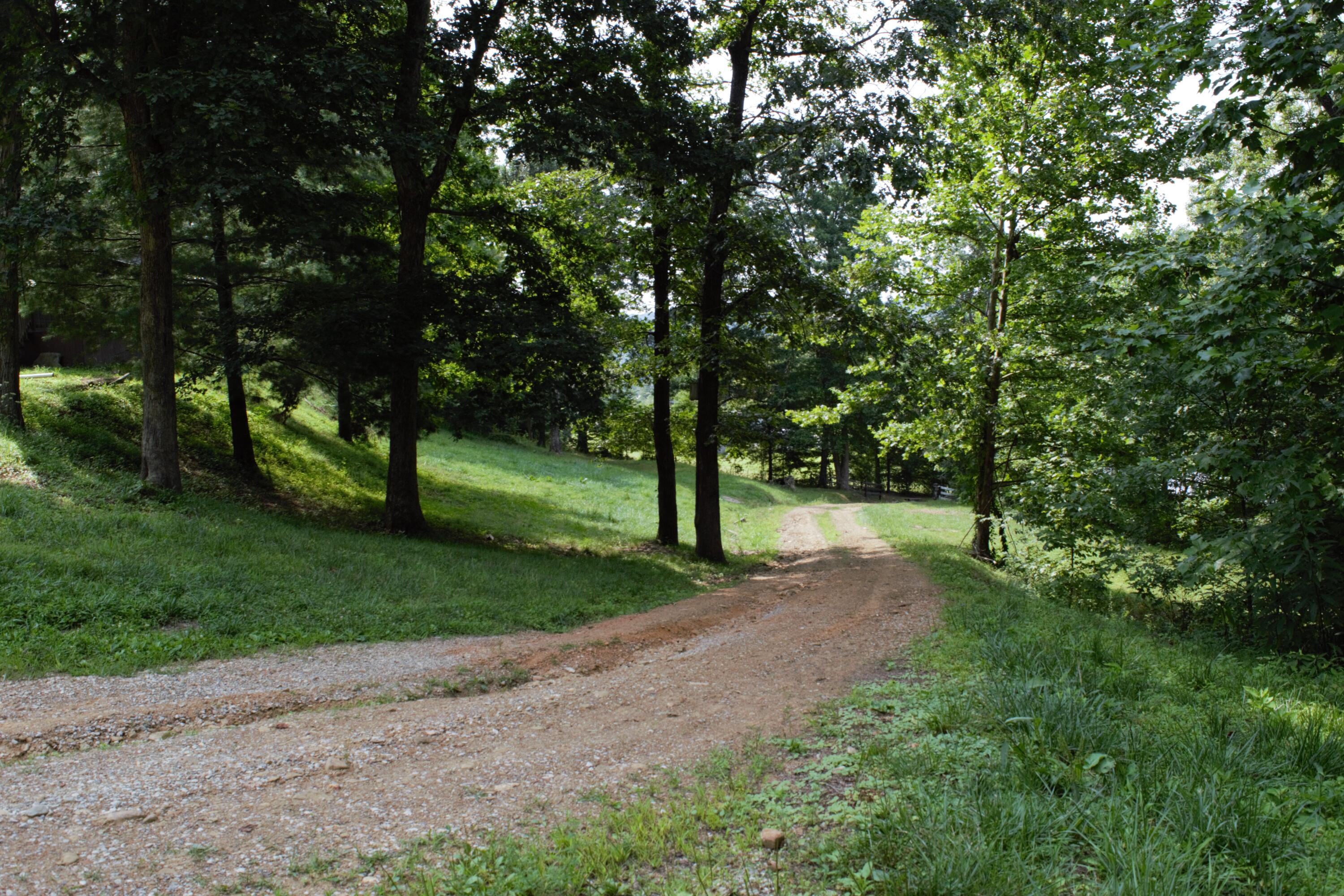 778 Rock Fork Road Morehead, KY 40351 - Photo 23 of 25 view 8-8 1