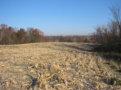 Lot Scenic Ridge Road Savanna, IL 61074 - Photo 1 of 1 Gallery Image 1