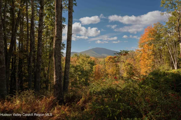 $850,000 | 0 Beaverkill Road, Olivebridge, NY 12461