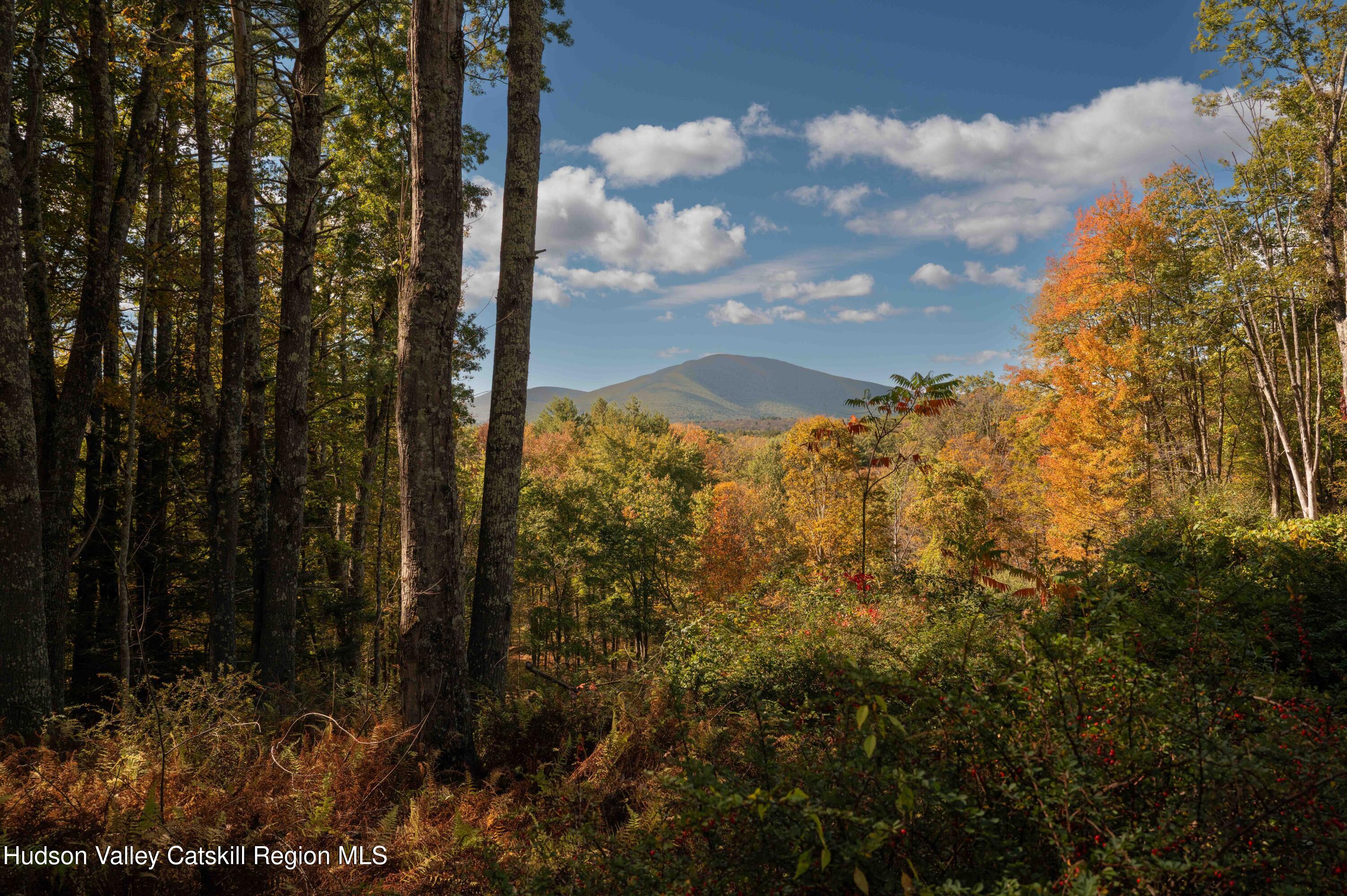 0 Beaverkill Road Olivebridge, NY 12461 - Photo 2 of 26 2_363-Beaverkill-Rd_Olive-Marbeltown-26