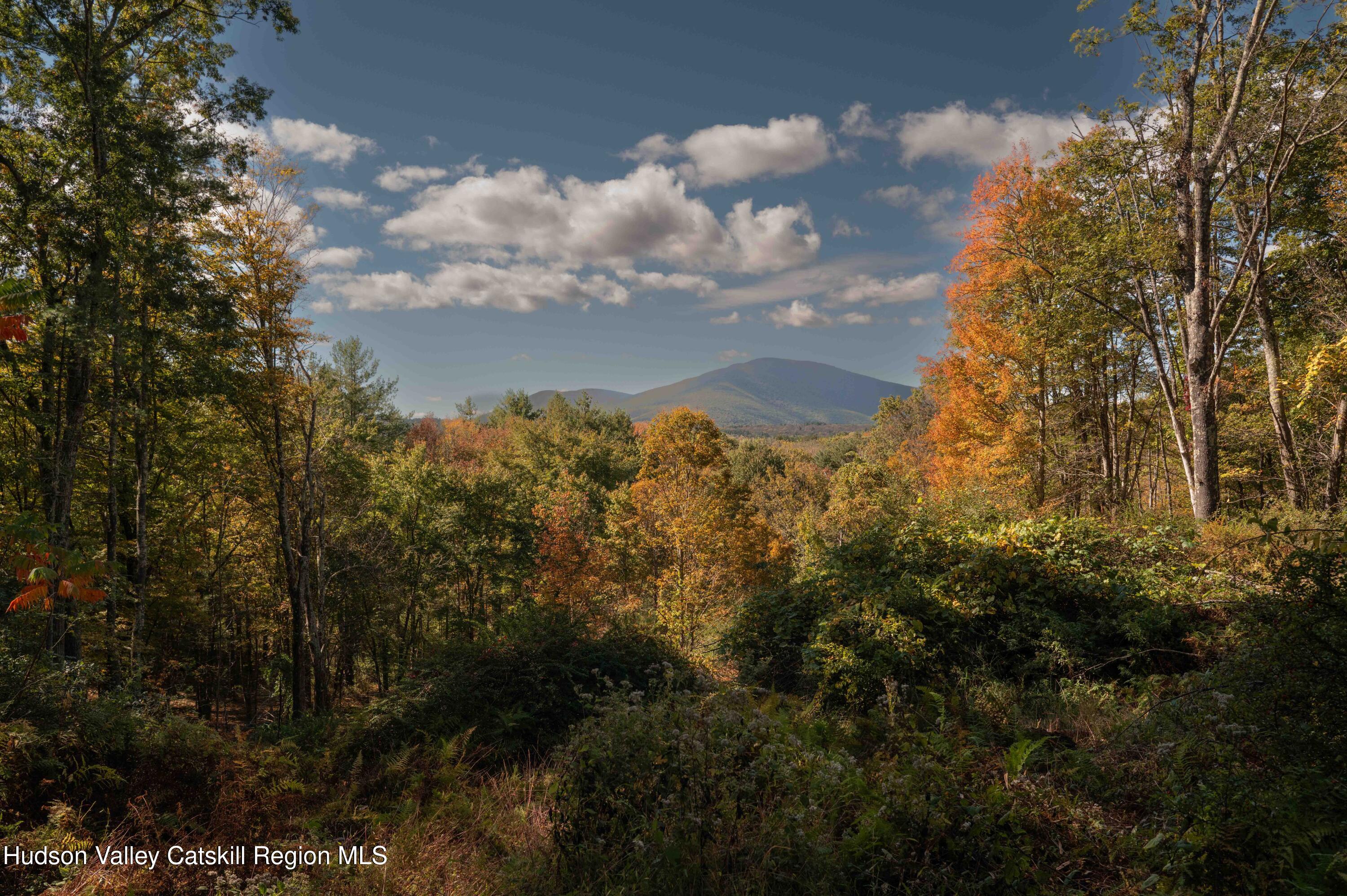 0 Beaverkill Road Olivebridge, NY 12461 - Photo 26 of 26 27_363-Beaverkill-Rd_Olive-Marbeltown-27