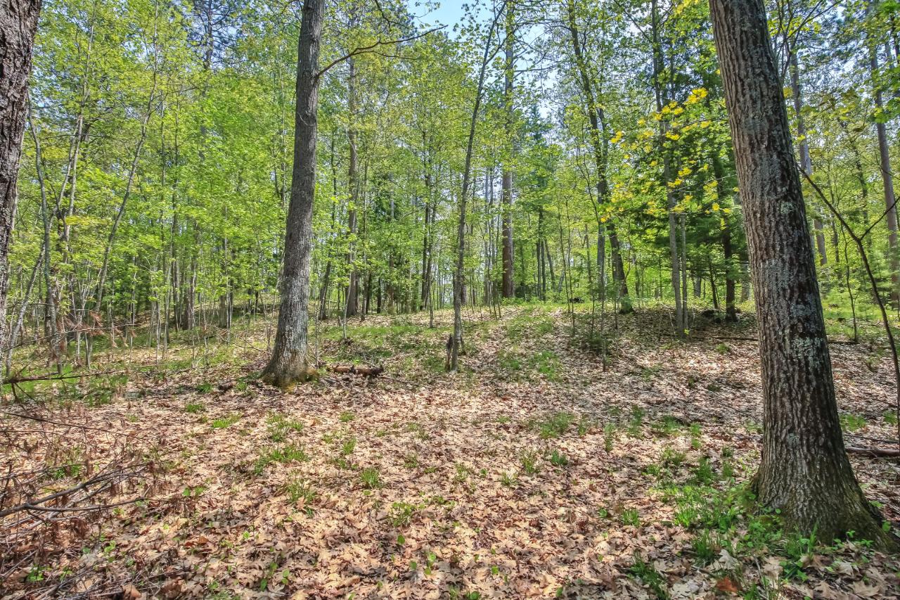 On Squirrel Lake Road, Unit LOT #3 Minocqua, WI 54548 - Photo 8 of 17 Gallery Image 8