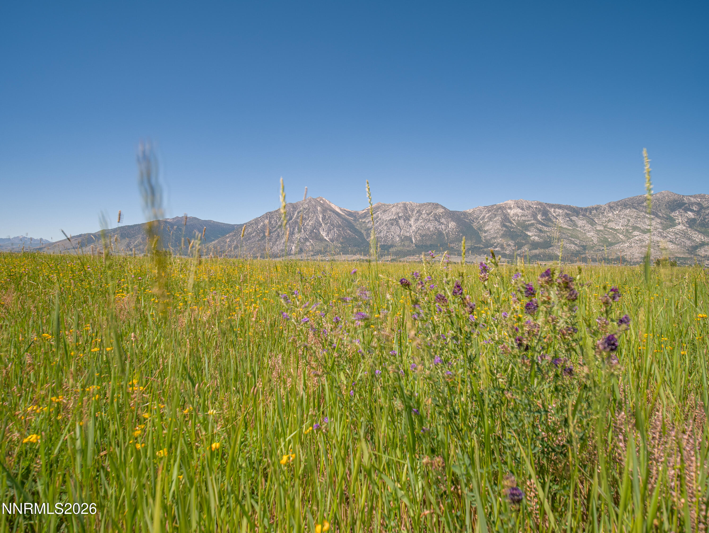 1225 Highway 88 Gardnerville, NV 89460 - Photo 14 of 25 Photo-12