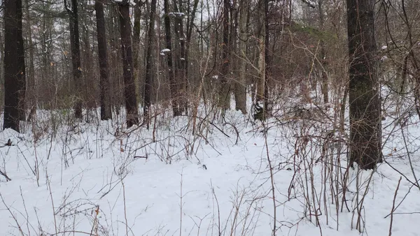 $38,000 | 6908 East 18th Street, White Cloud, MI 49349