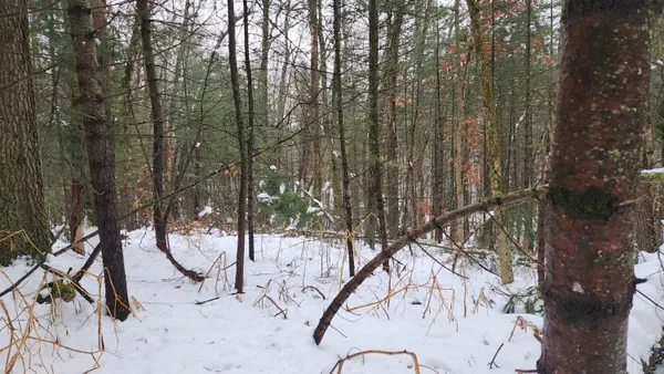 $38,000 | 6908 East 18th Street, White Cloud, MI 49349