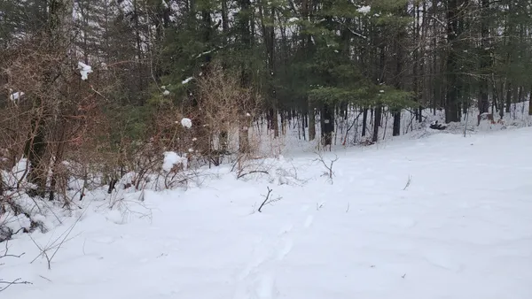 $38,000 | 6908 East 18th Street, White Cloud, MI 49349