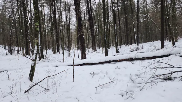 $38,000 | 6908 East 18th Street, White Cloud, MI 49349