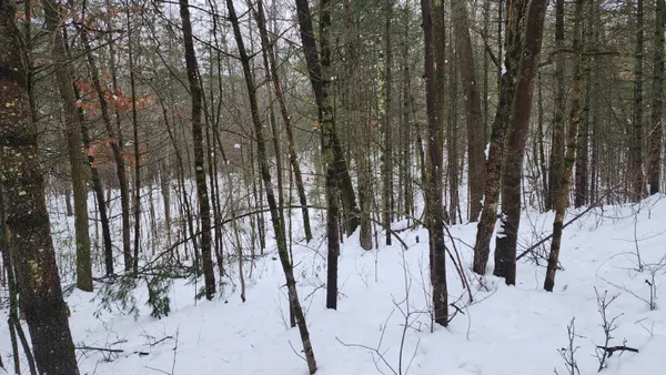 $38,000 | 6908 East 18th Street, White Cloud, MI 49349