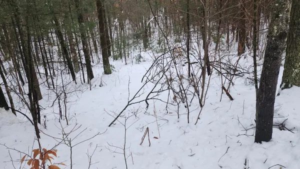 $38,000 | 6908 East 18th Street, White Cloud, MI 49349