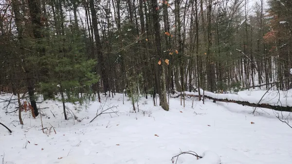 $38,000 | 6908 East 18th Street, White Cloud, MI 49349