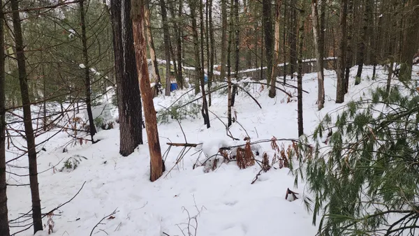 $38,000 | 6908 East 18th Street, White Cloud, MI 49349