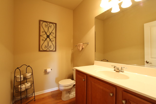 792 Ridgeview Lane Sugar Grove, IL 60554 - Photo 26 of 29 a bathroom with a sink mirror vanity and toilet