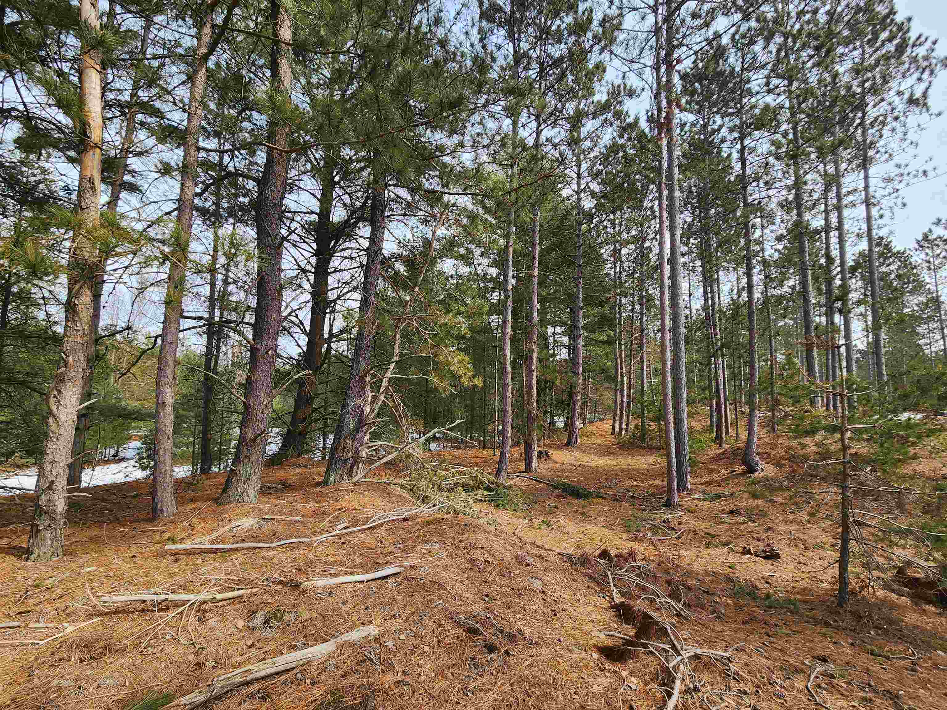 0 Niemi Road Kaleva, MI 49645 - Photo 13 of 23