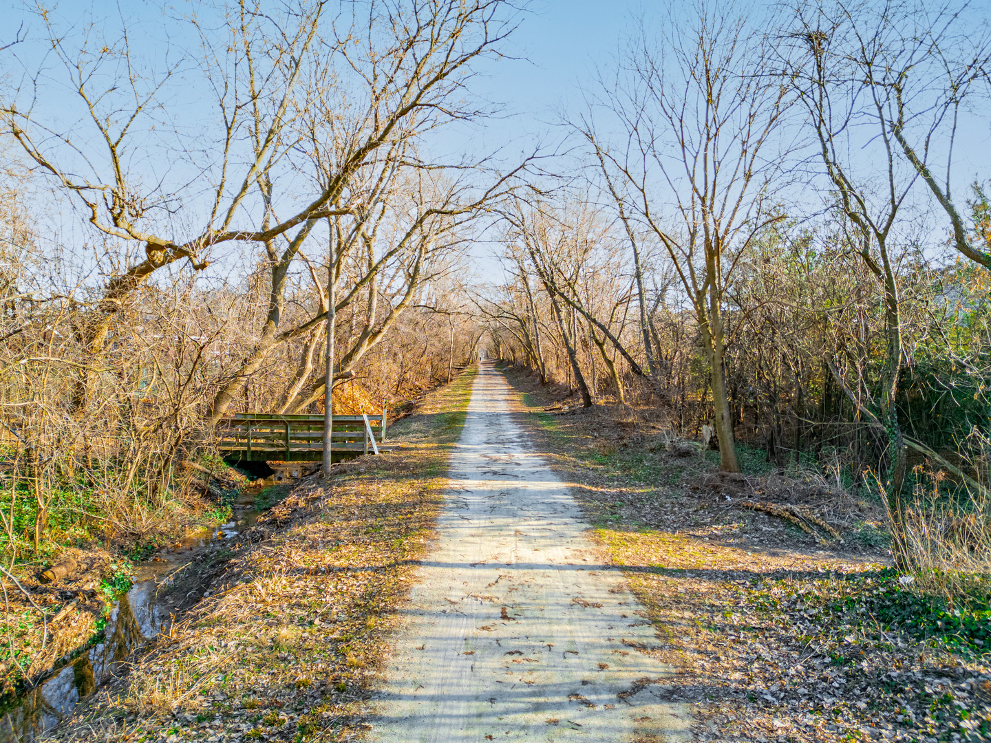 1-n020 Prairie Path Lane Winfield, IL 60190 - Photo 48 of 50