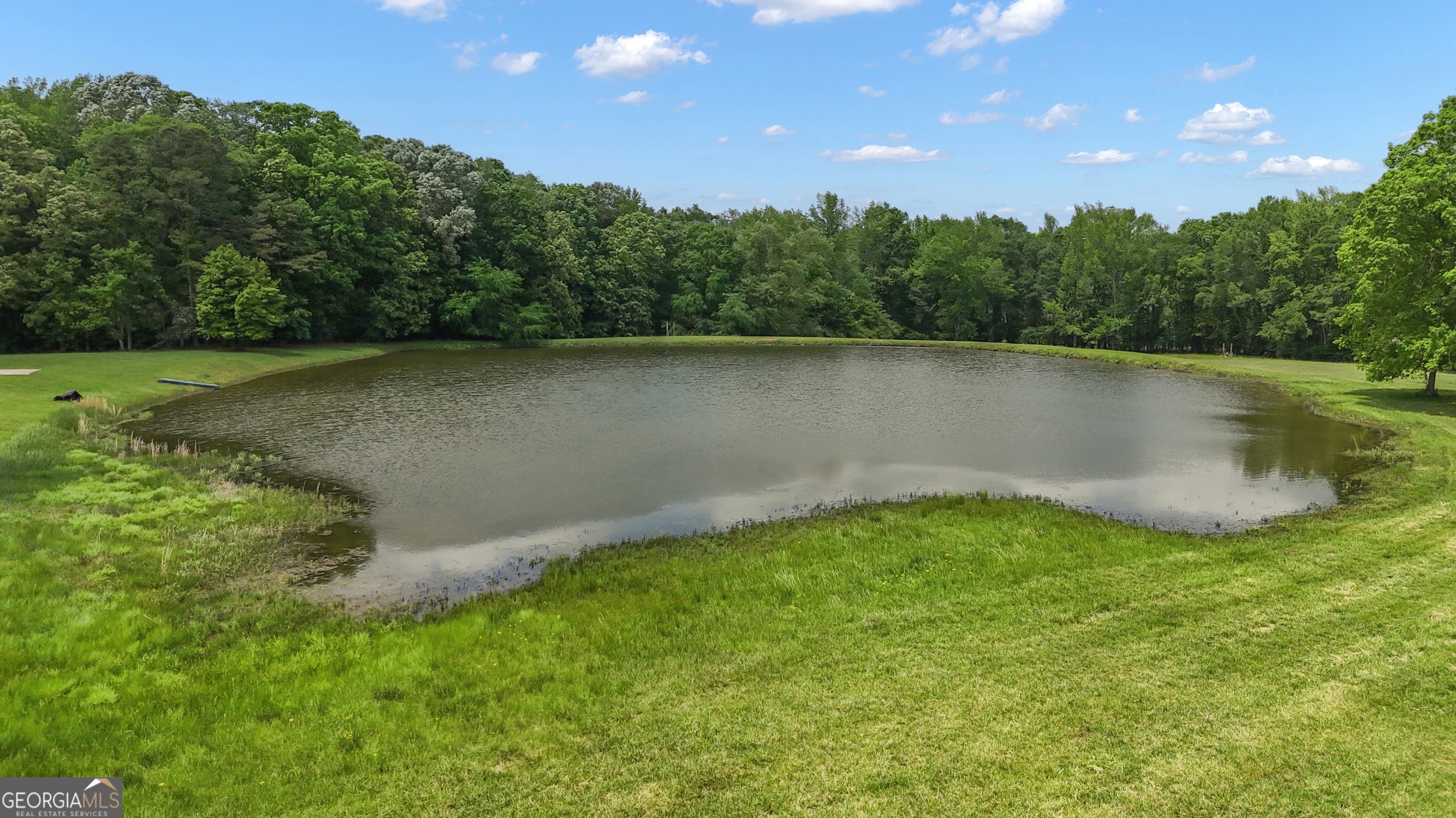 14803 Woolsey Road Hampton, GA 30228 - Photo 116 of 142 a view of a lake with a yard and large trees