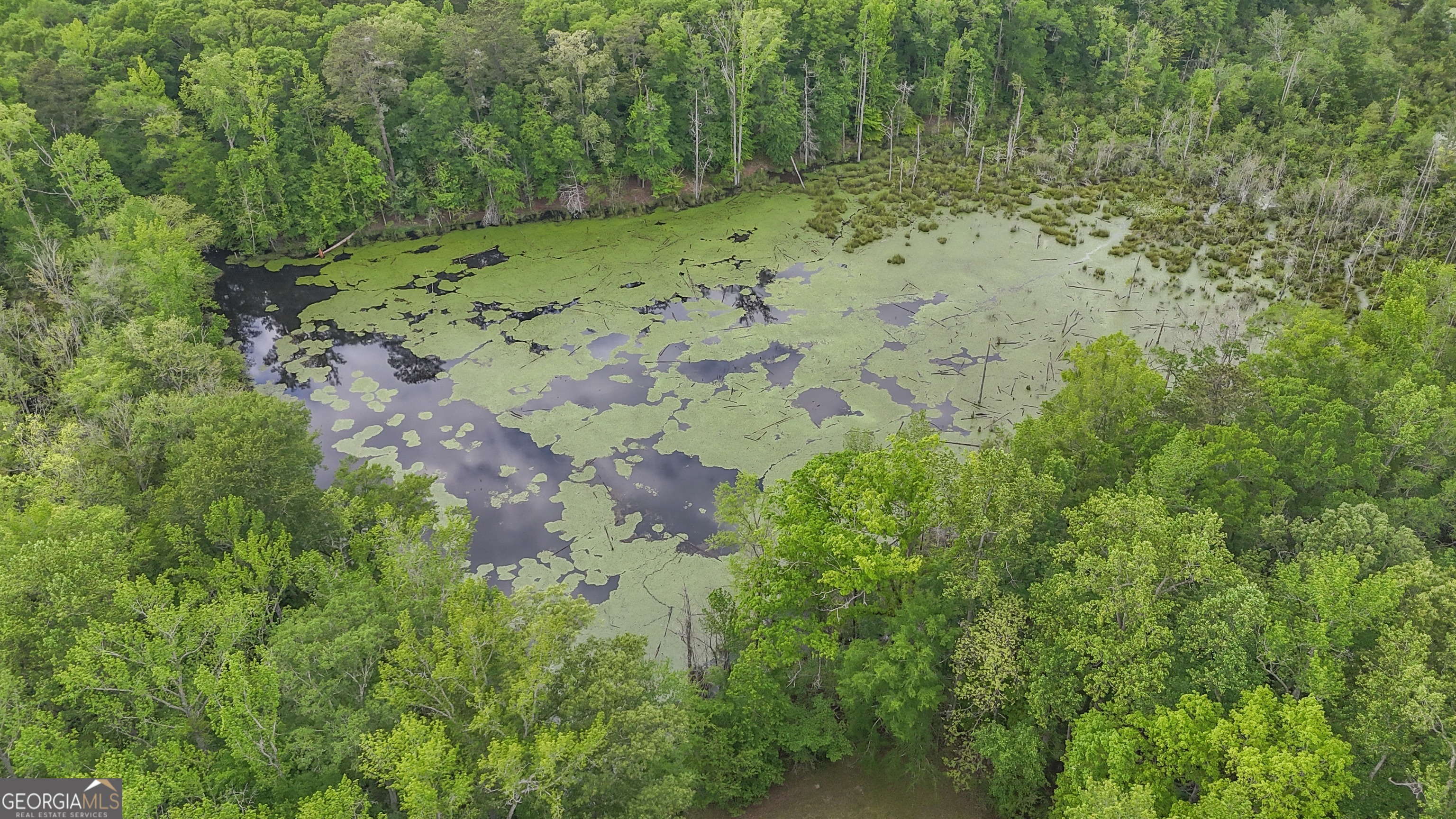 14803 Woolsey Road Hampton, GA 30228 - Photo 137 of 142
