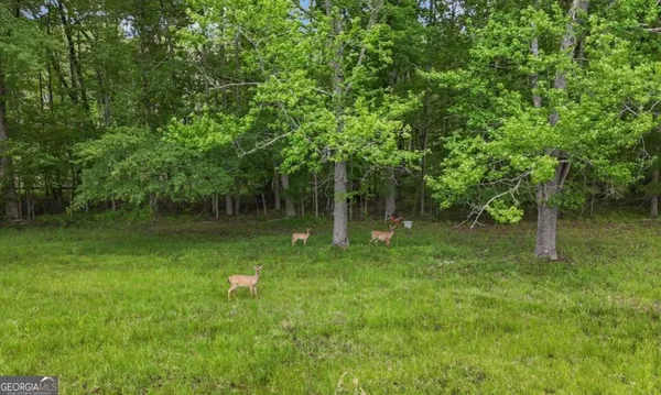 $11,500,000 | 14803 Woolsey Road, Hampton, GA 30228