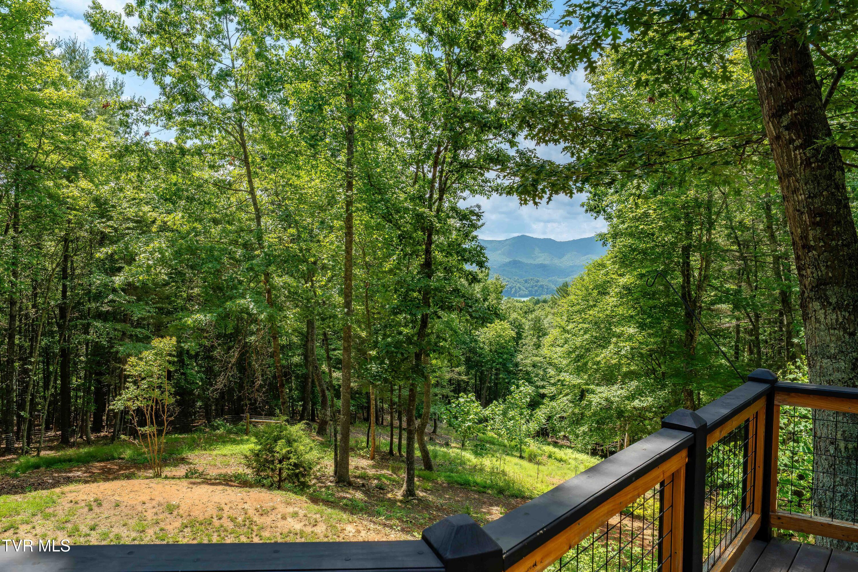 191 Bear Ridge Drive Butler, TN 37640 - Photo 62 of 80 191 Bear Ridge Dr (23 of 80)