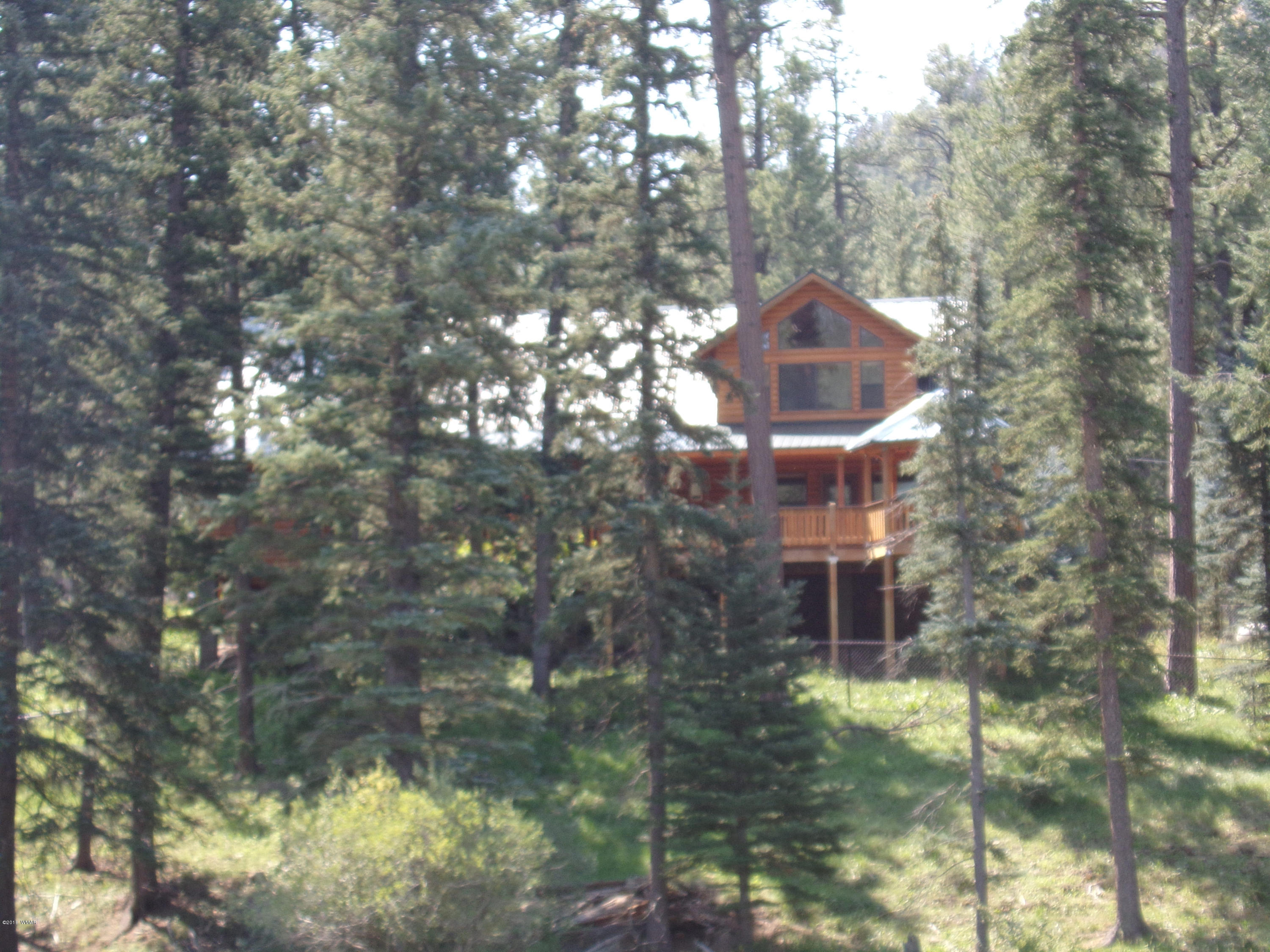 5 County Road Alpine, AZ 85920 - Photo 14 of 73