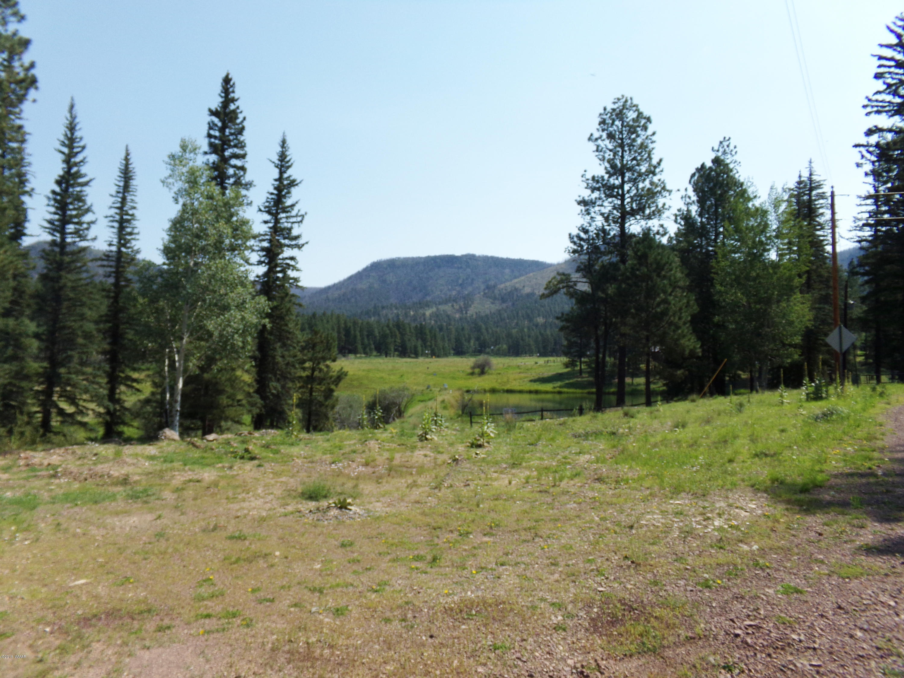 5 County Road Alpine, AZ 85920 - Photo 15 of 73