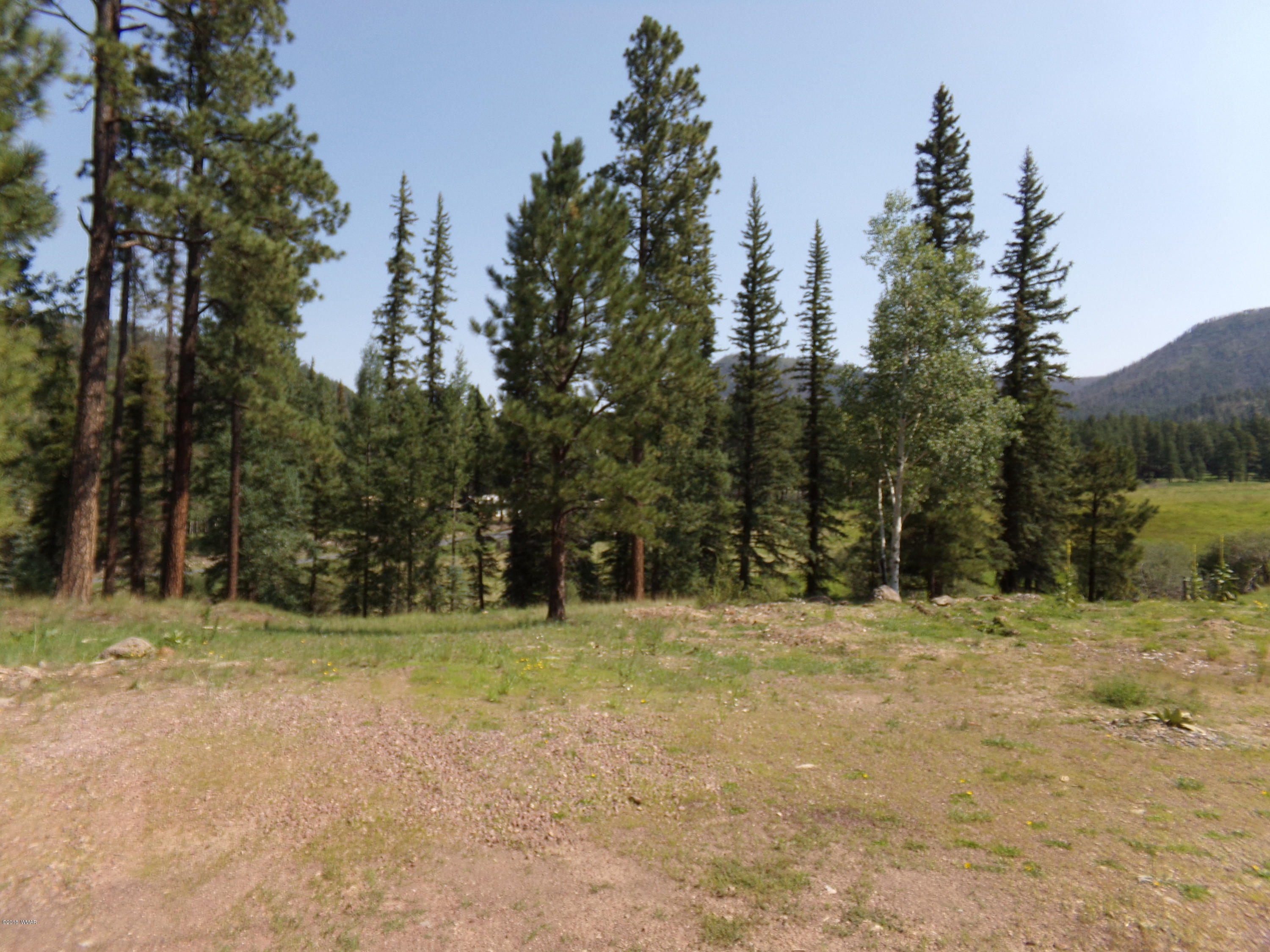 5 County Road Alpine, AZ 85920 - Photo 16 of 73