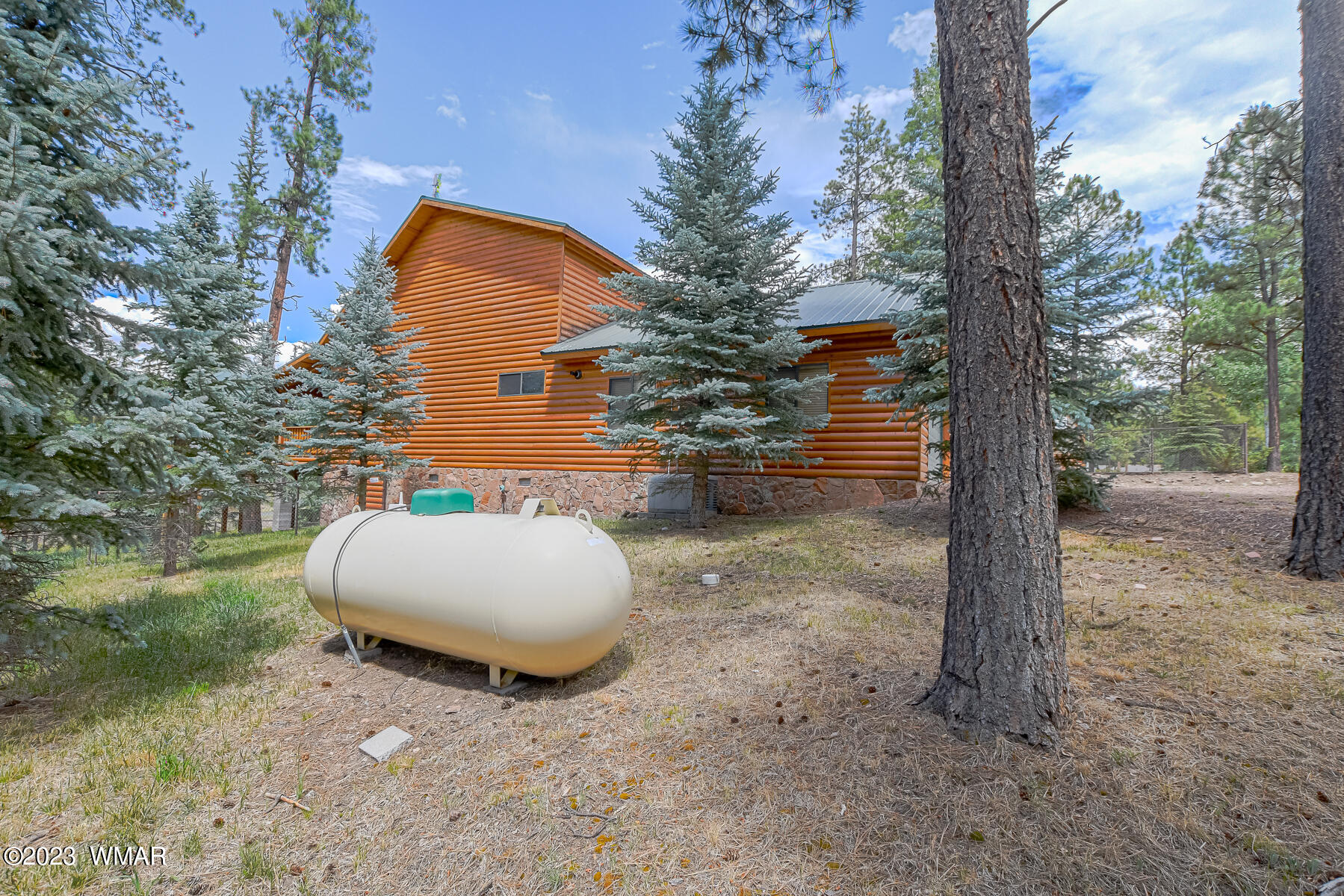 5 County Road Alpine, AZ 85920 - Photo 3 of 73