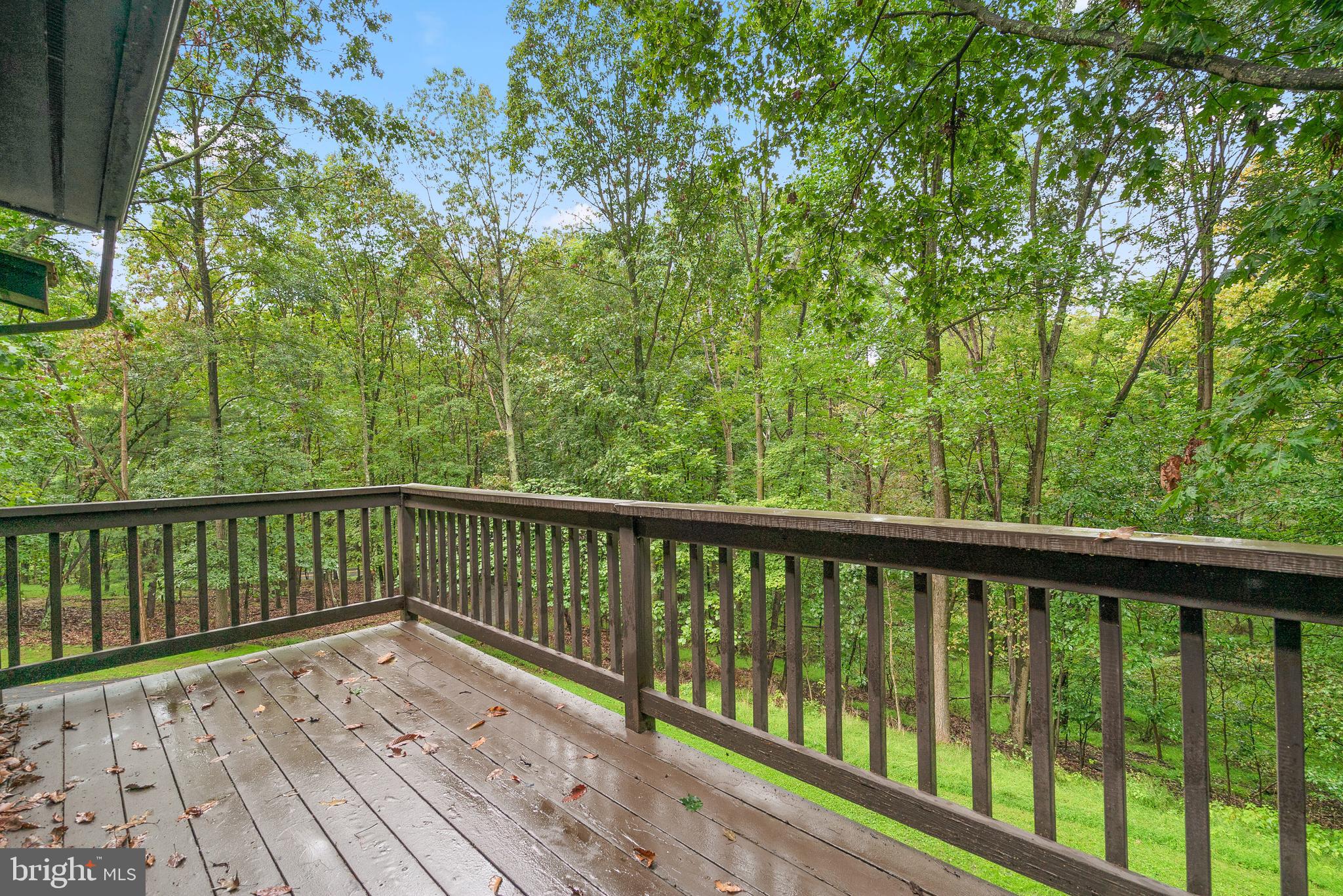 7335 Dance Hall Road Frederick, MD 21701 - Photo 19 of 54 View of Backyard