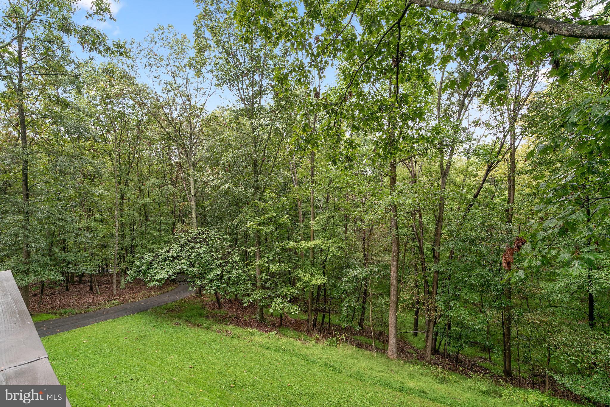 7335 Dance Hall Road Frederick, MD 21701 - Photo 22 of 54 Secluded Backyard